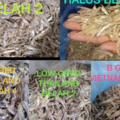 MWHRK Resources